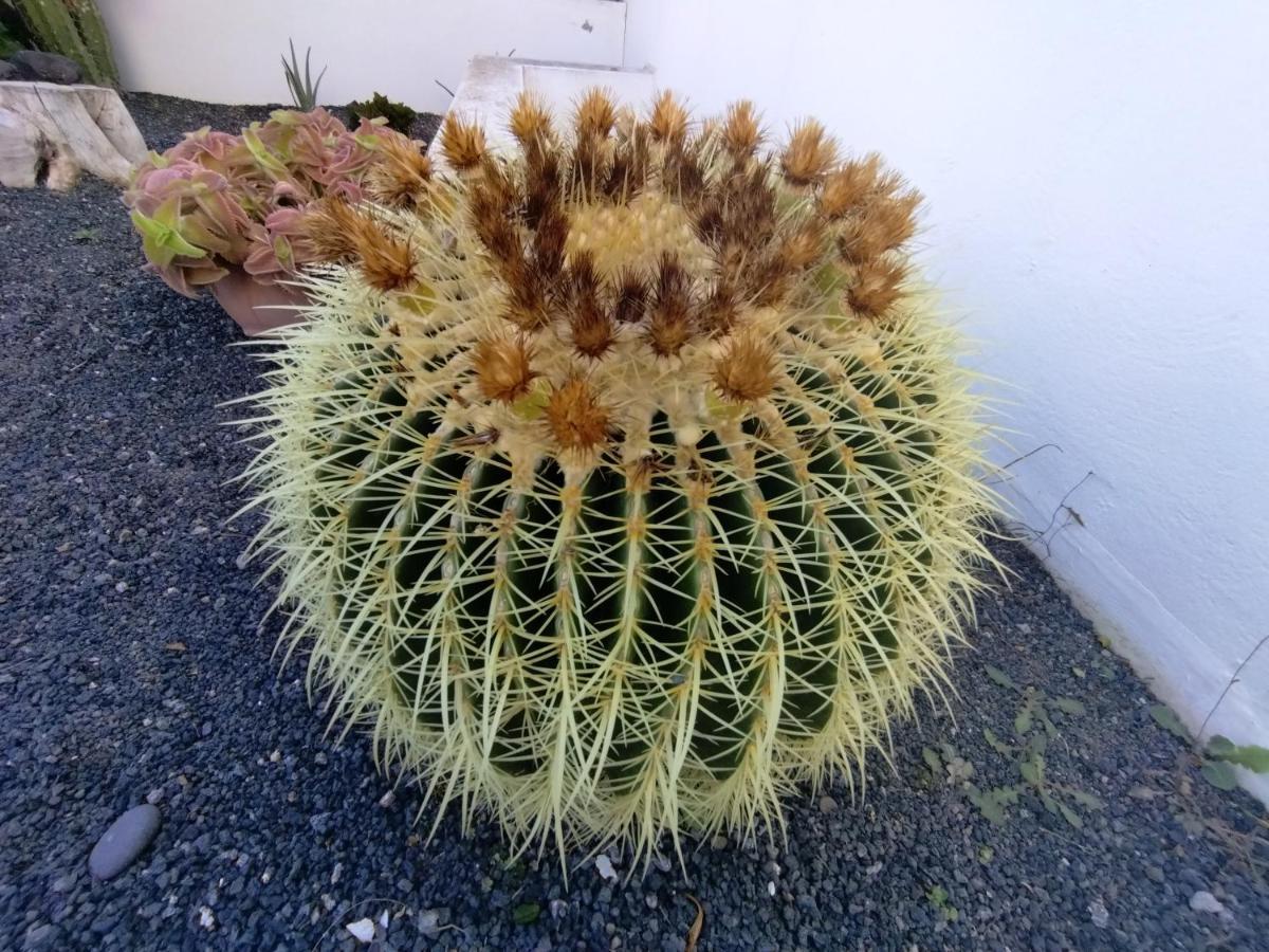 דירות Tías Mandala מראה חיצוני תמונה